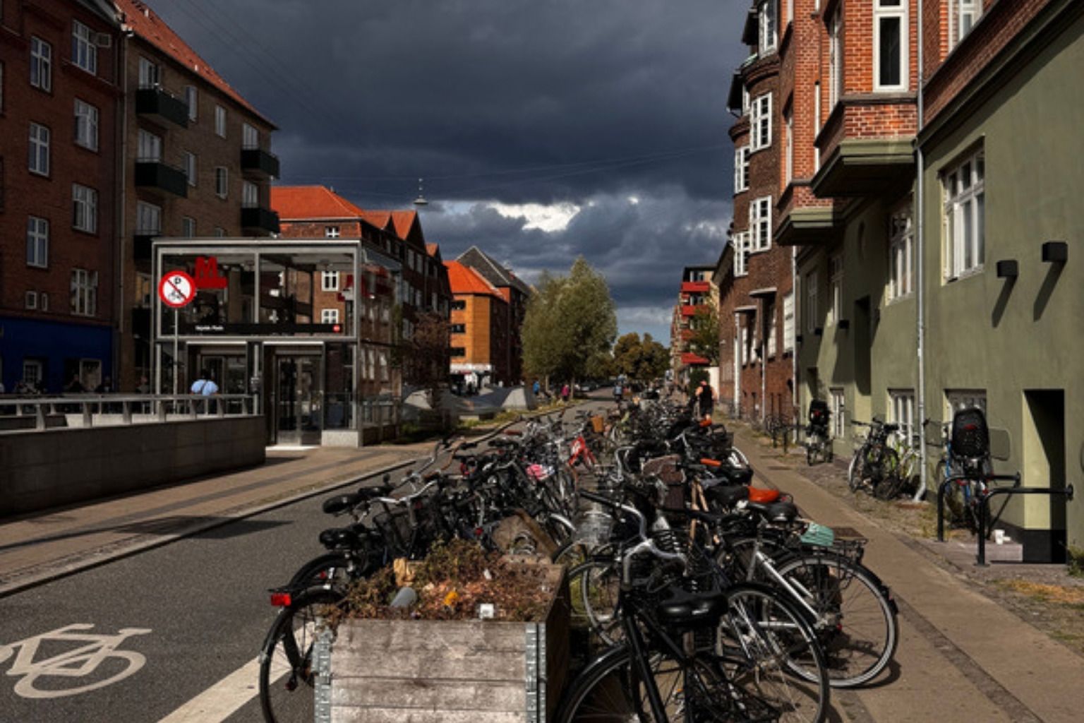 Mange cykler parkeret langs en gade i København